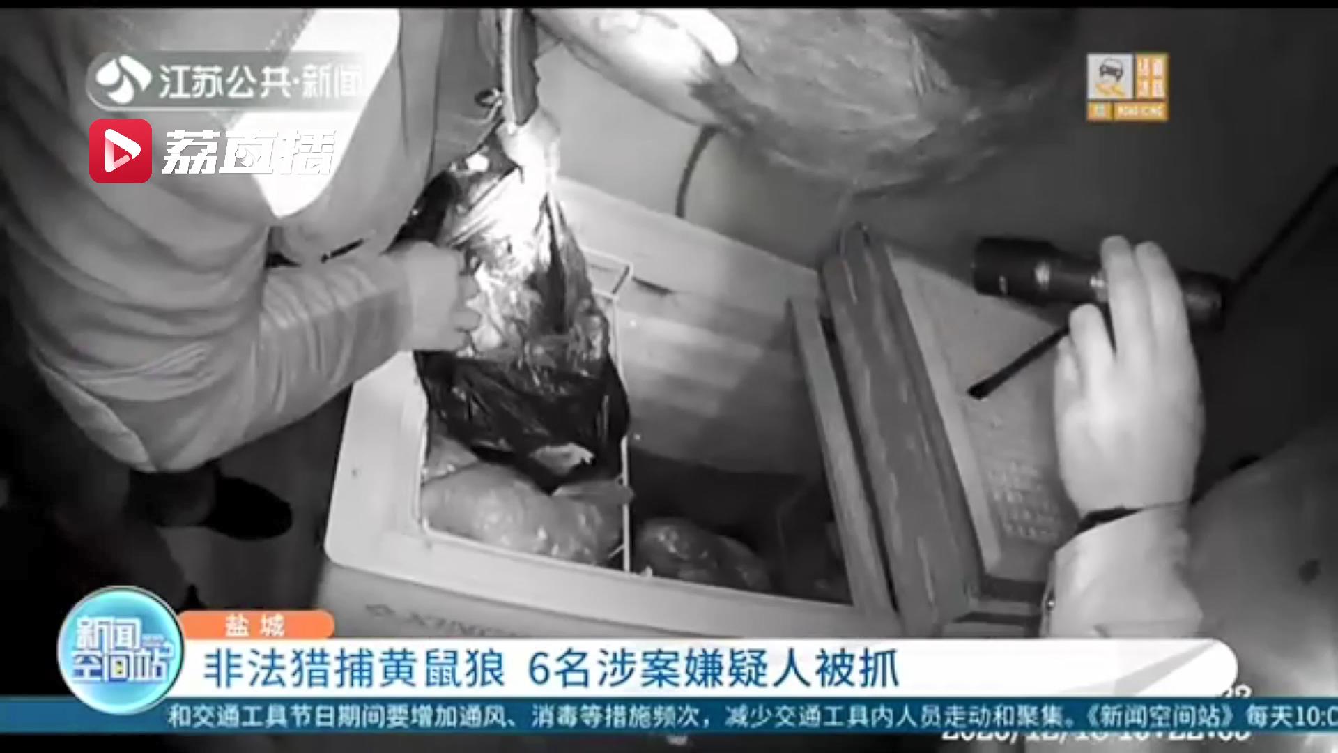 残忍！听信黄鼠狼肉可食、皮可卖钱 男子动起歪脑筋非法猎捕黄鼠狼