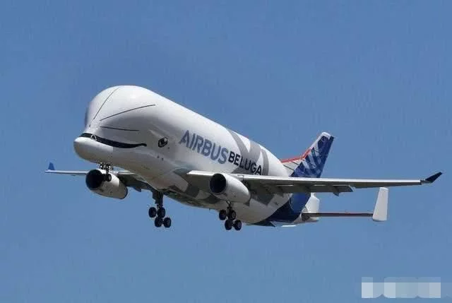 “晚上飞机”便宜速度又快，为何很少有人去坐