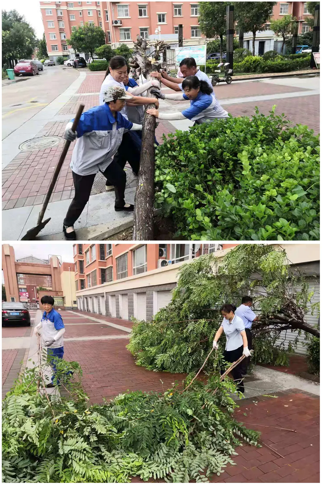 @所有泰华业主，暴雨预警来袭！我们身后还有这群人.........