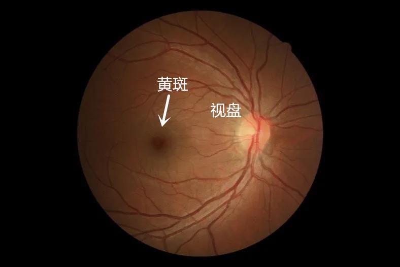 最近，&ldquo;老黄&rdquo;找上了老黄