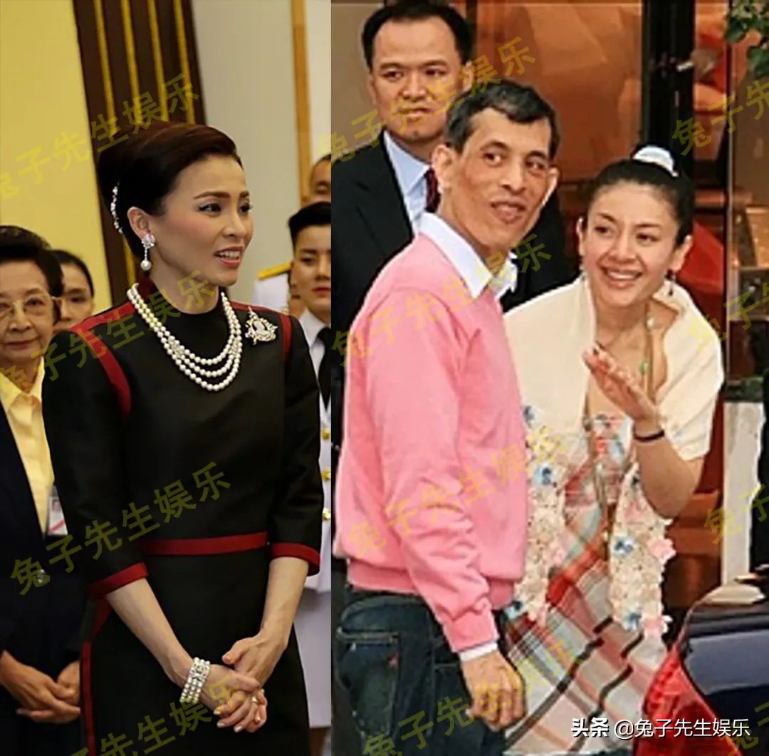 提帮功奉母之命，“装傻”6年瞒天过海，骗过苏