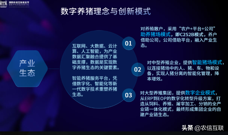 农信互联副总裁于莹：猪产业的涅槃重生 数字化