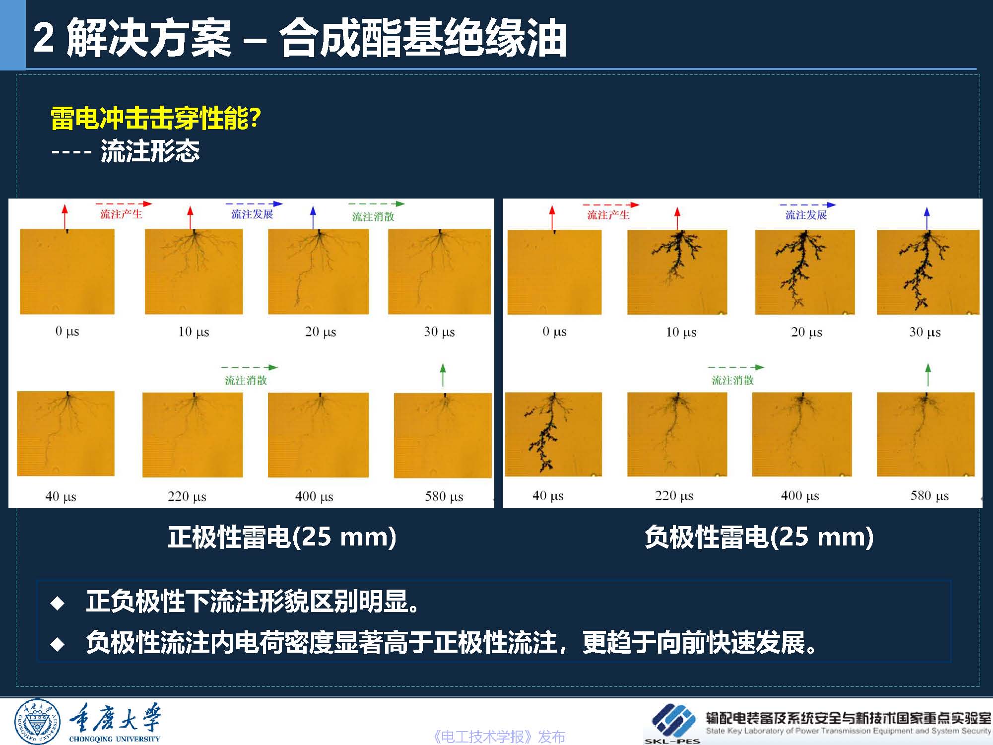 重庆大学 王飞鹏 研究员：环保安全的酯基绝缘油