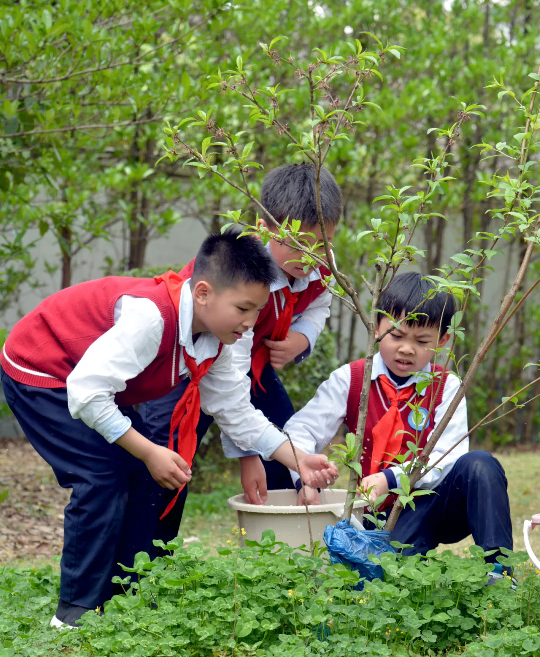 享农趣、觅农情,成都市龙泉驿区第五小学校“农耕”文化节来袭