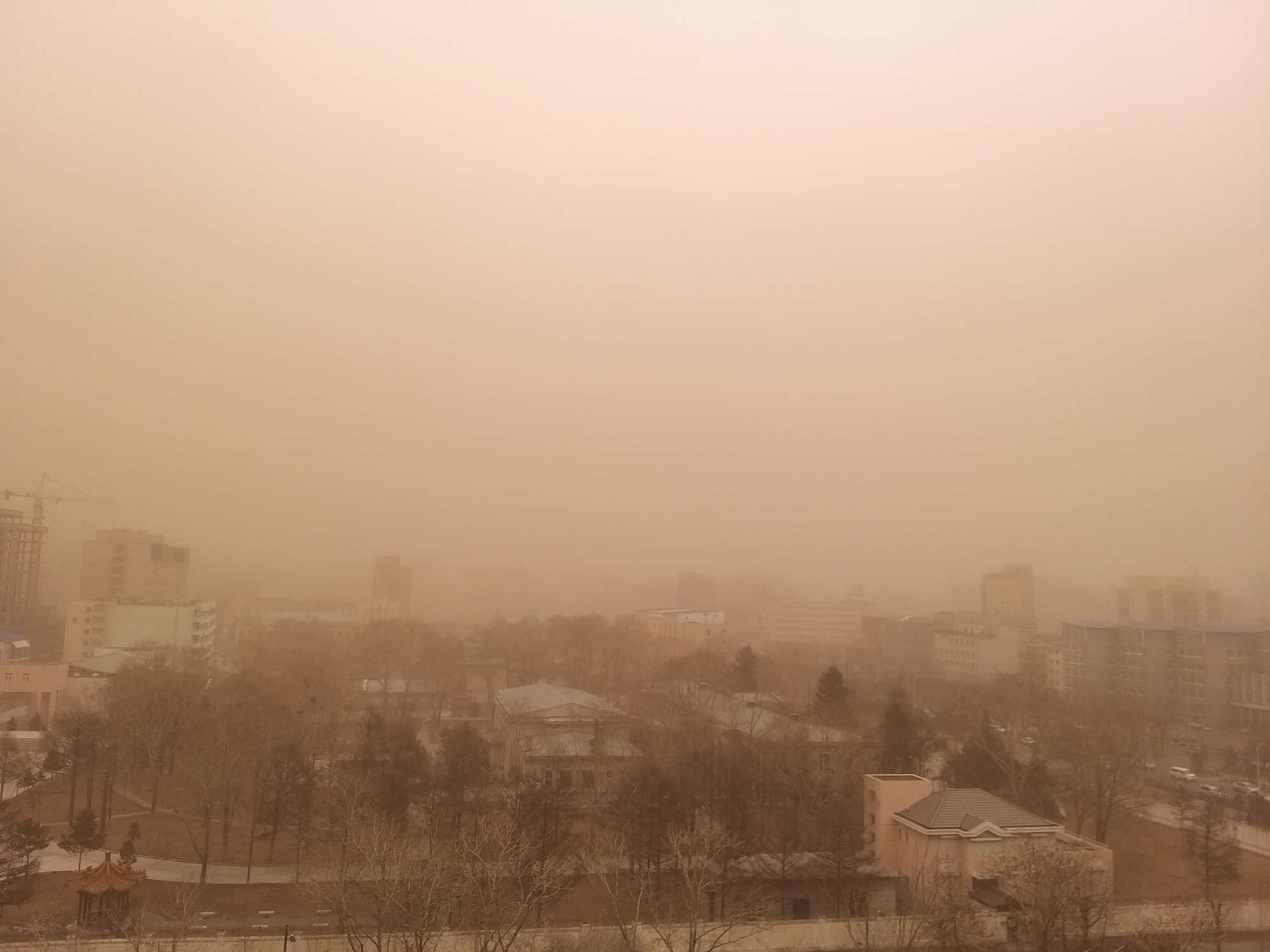 气候变化和荒漠化是蒙古国沙尘暴多发的“元凶”