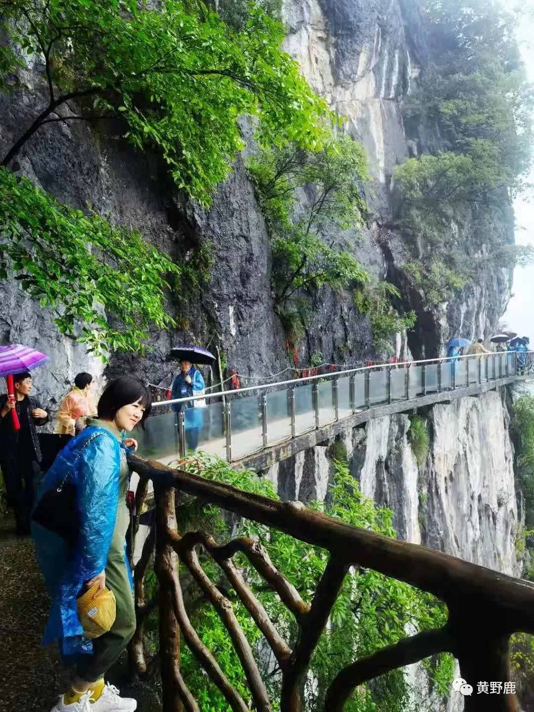 蜀道难 难于上青天 今天我登上九重天 文艺采风丰都站 资讯咖