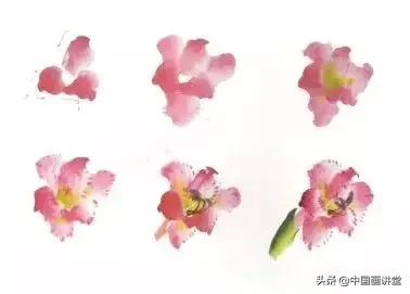 干货 | 十二种写意花卉技法，简单易学