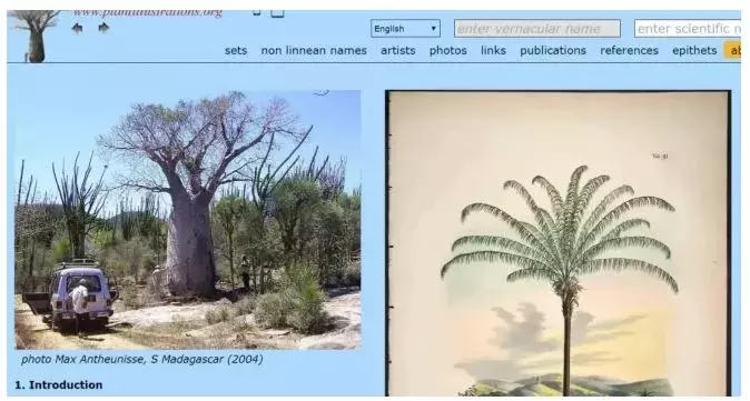 90%学画画的人都会收藏的30个免费绘画素材网站!全是宝藏啊