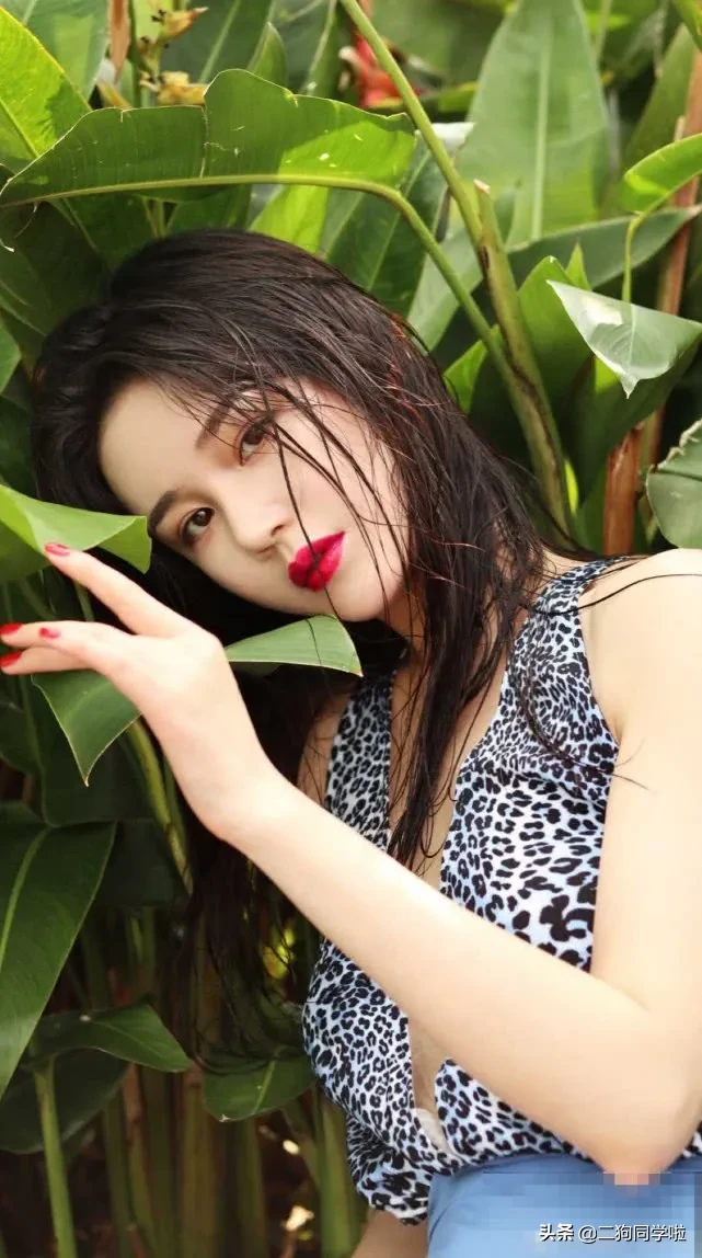 新版周芷若颜值也是超高，气质美艳动人特别是红衣造型也太美