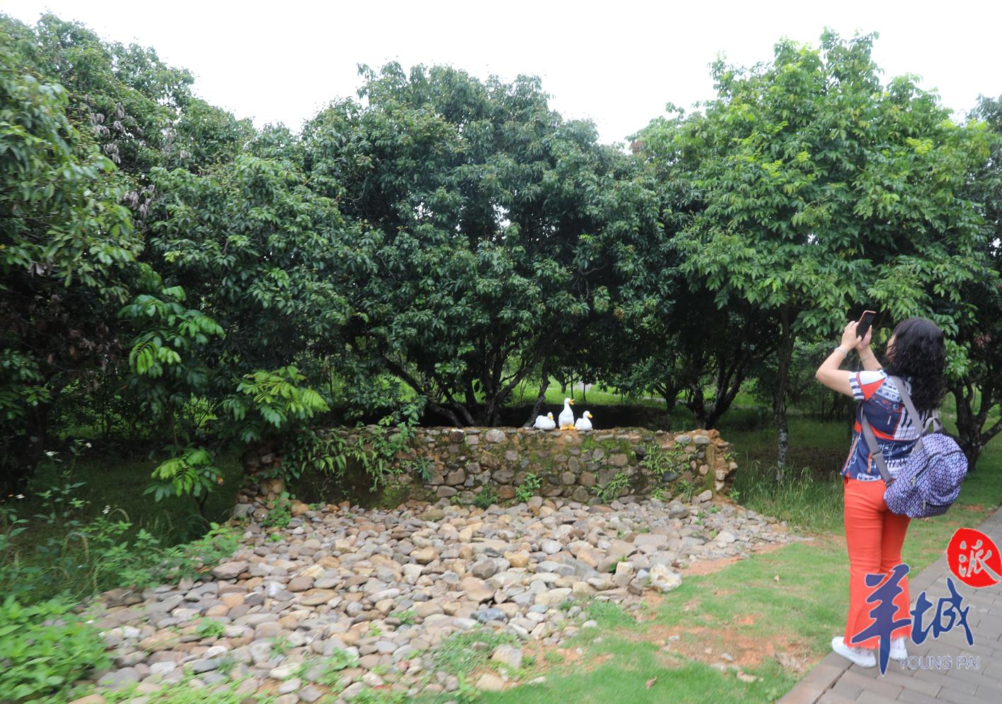 广州这处地方，每天吸引超2000人次游客到访，怎