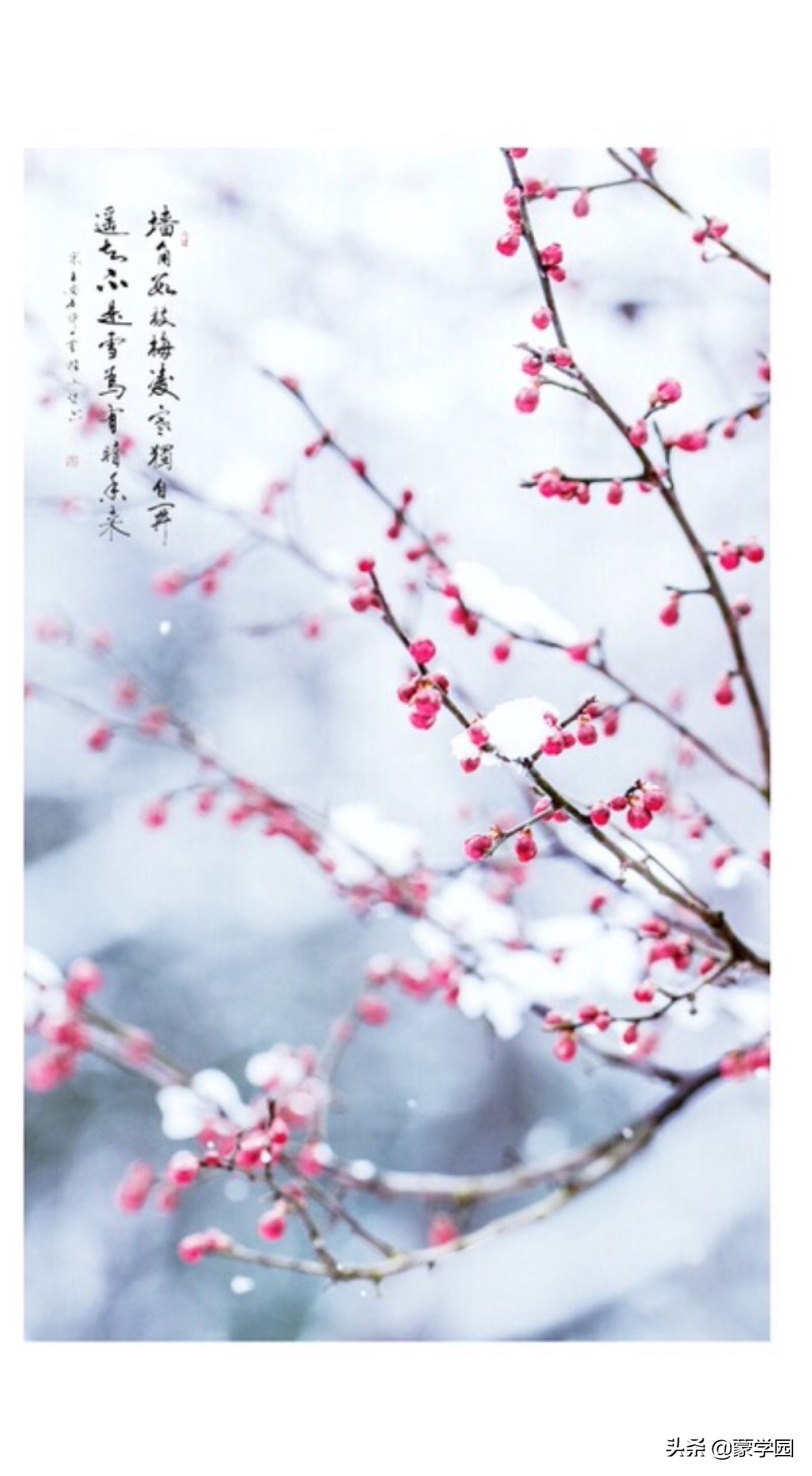 400句 春夏秋冬诗词名句-第7张图片-非凡网