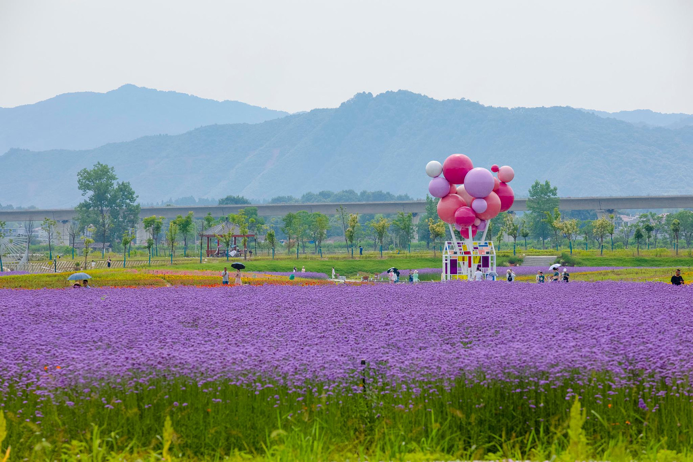 来景德镇旅行不仅有瓷器，还可以漫步在花海中，领略大自然的风光