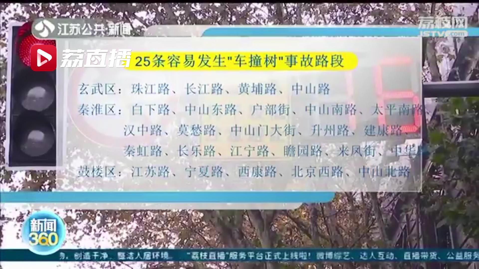 专门通道、反光彩绘、导航语音&hellip;城市梧桐守护计划保护南京的绿色风景线