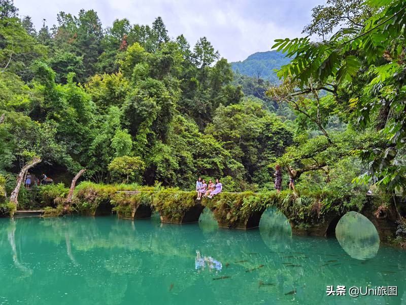 7月去哪玩？国内这五个地方，景美又凉快