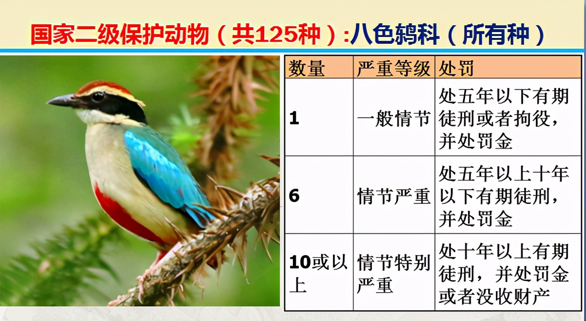 国家最新125类二级野生保护名录，图片及违法对应刑责