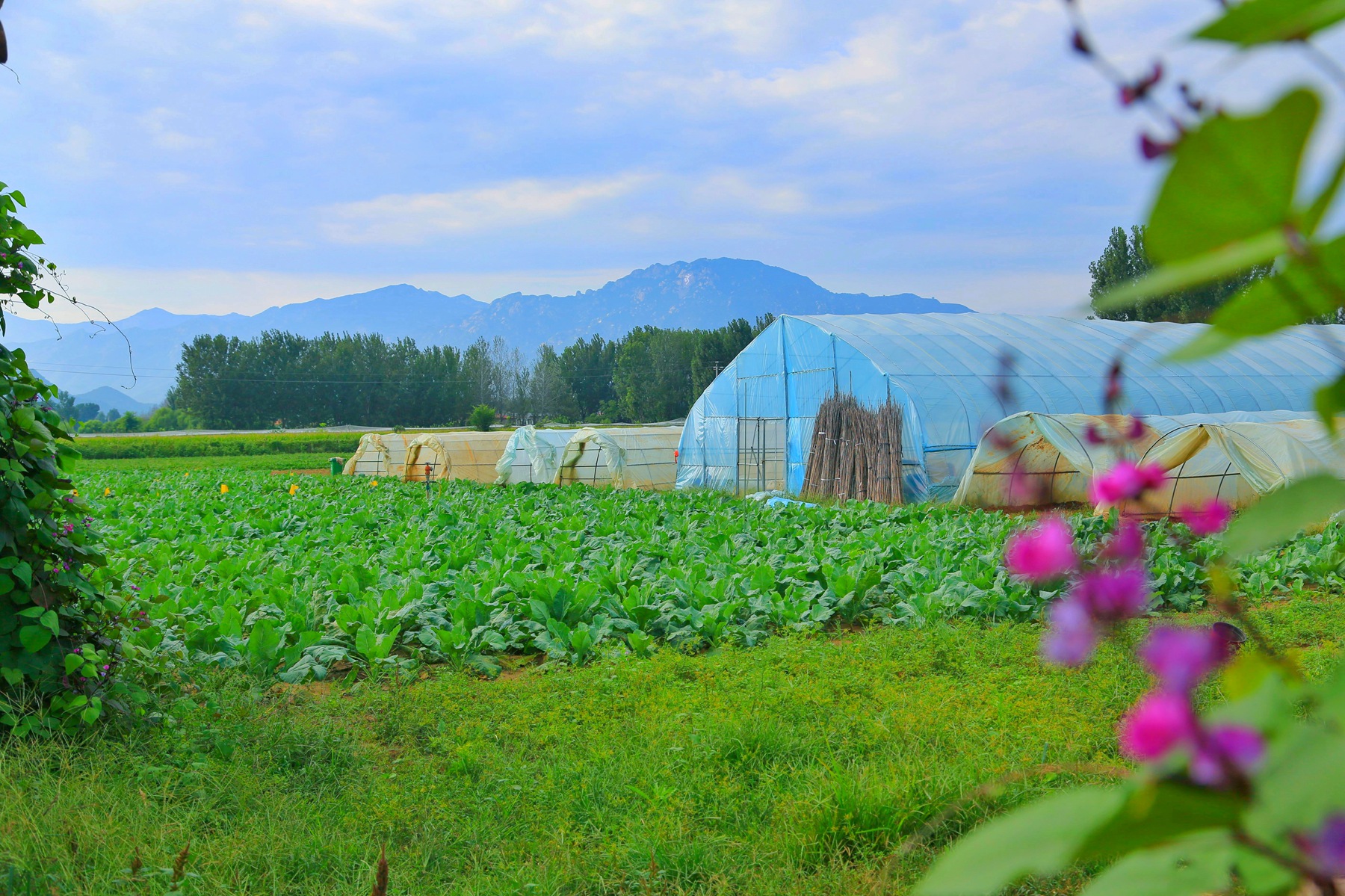 京郊密云小众亲子游，回归田园拥抱自然的超嗨假期