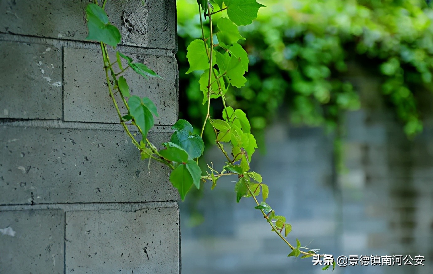 描写山水的五言绝句-第1张图片-非凡网