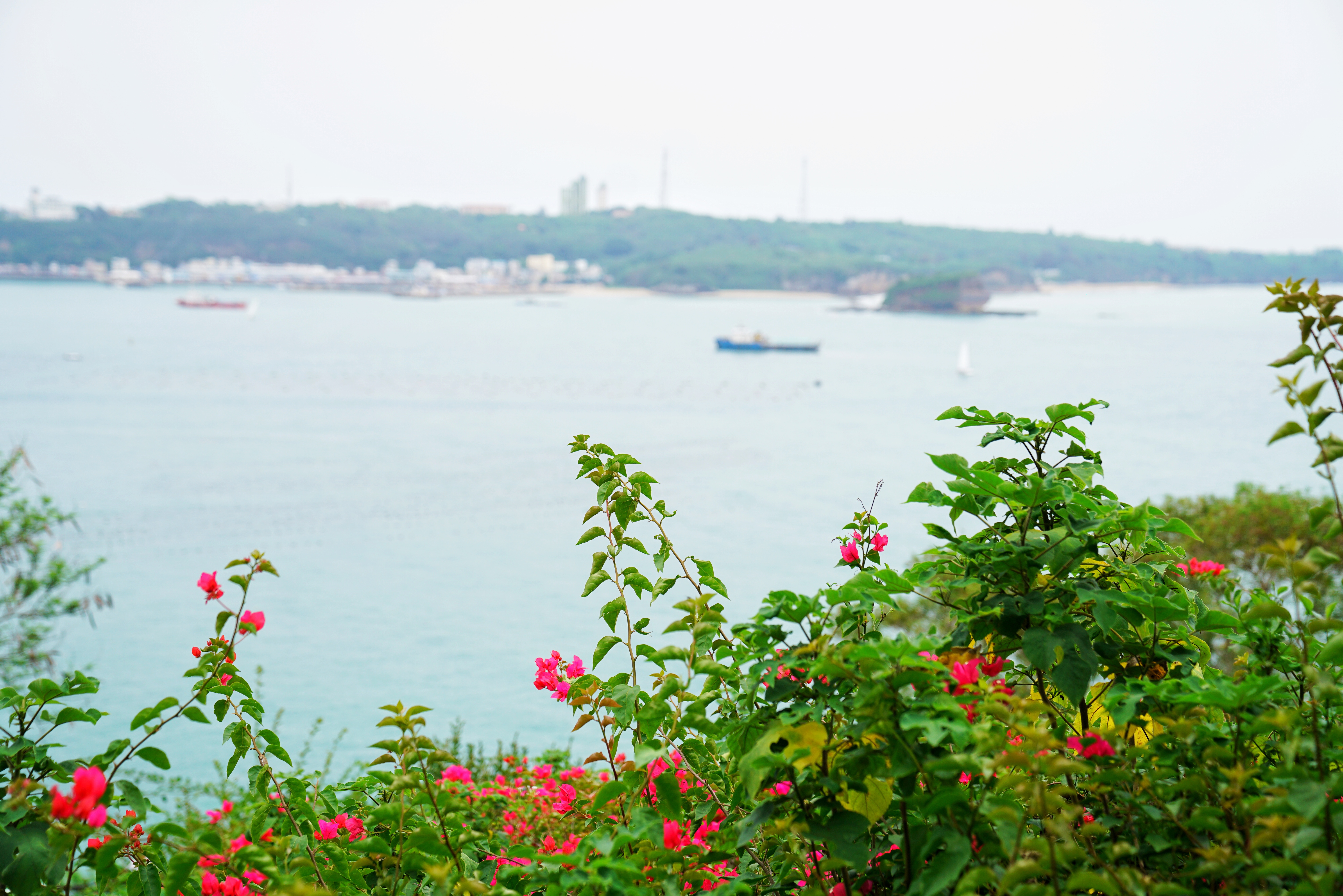 千万年前的海水咆哮,大地震撼,火山熔浆喷发,大自然的鬼斧神工,成就了