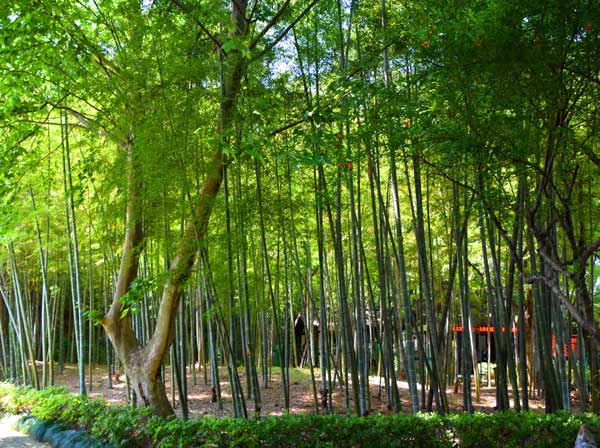 浙江旅游：绍兴兰亭书圣故里采风行（图）