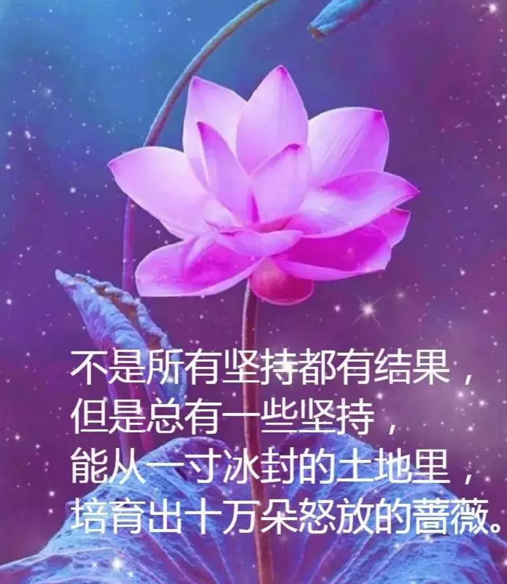 一段很现实的话适合发朋友圈 突然间看透一切的说说图片