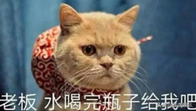 各位尾款人,冬天的第一口西北风来了