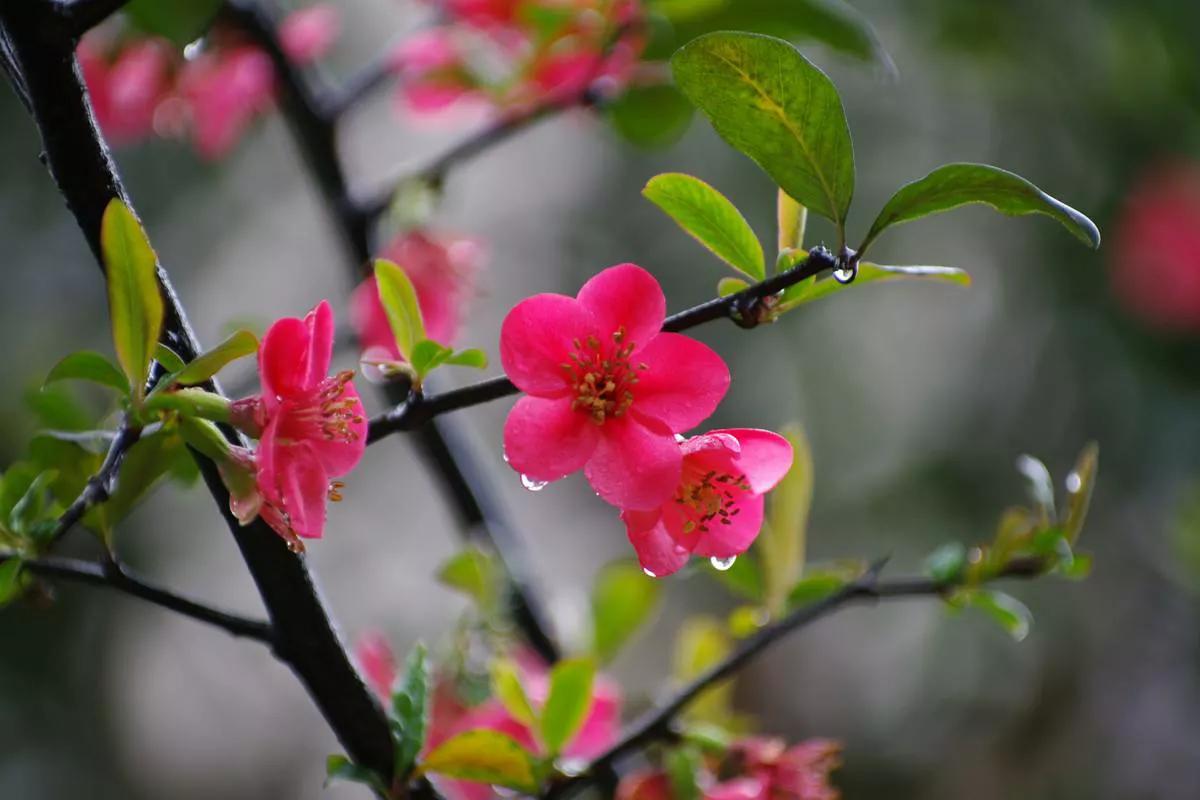 春风不早 冬雪不迟 相聚不晚 一切都刚刚好 Mp头条