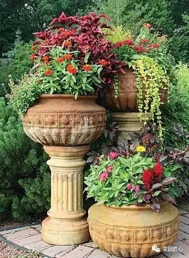 红泥陶盆，提升花园颜值的利器
