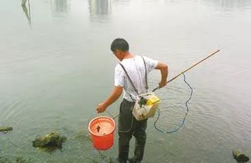 禁渔令下，这些“常见”渔具禁止使用！