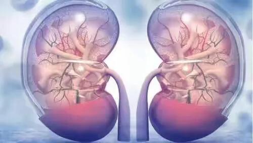 戒酒居然戒出了急性肾衰竭医生告诉你其中的真相