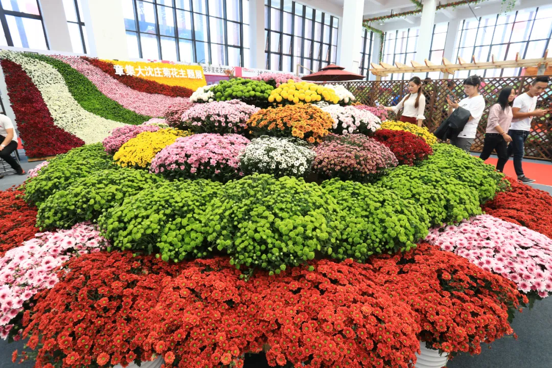 2020沭阳花木节“家庭园艺展”展位招商炽热停止中