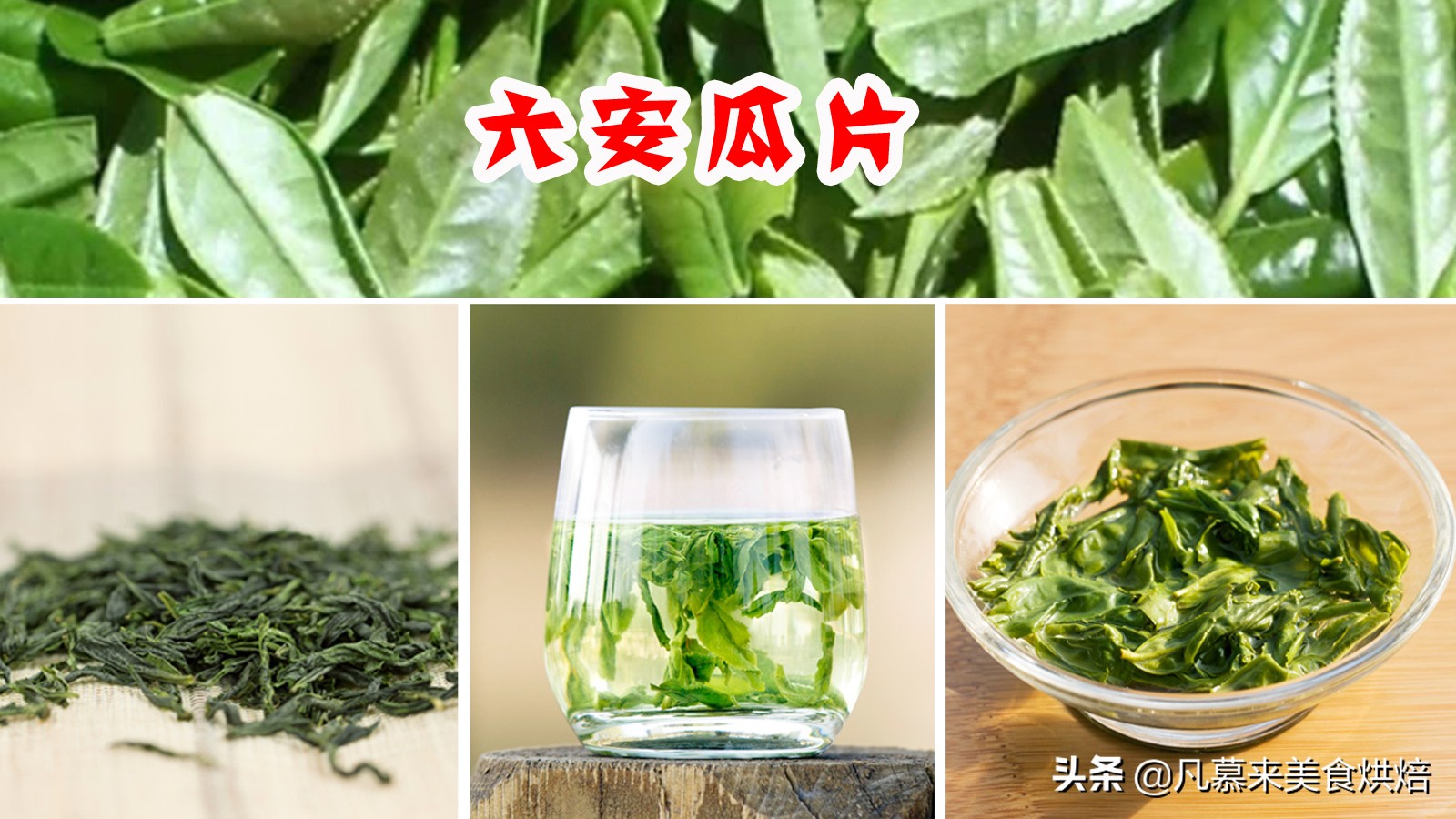 什么茶最好？茶叶品种？中国最好喝的30种名茶，如何选购茶叶