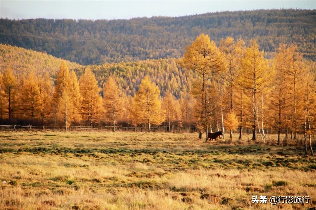 国内最美的适合秋天去的6个地方，我只去过三个，你呢？