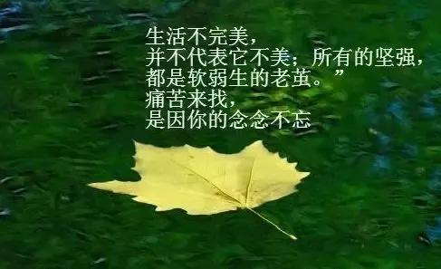 每天保持好心情的说说，句句写进心坎里 一句简单快乐的说说图片
