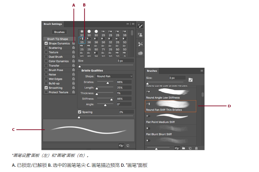 「Adobe國際認證」關於Adobe Photoshop，建立和修改畫筆教程？