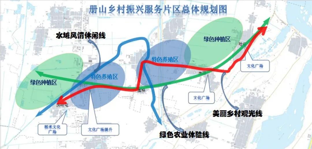 农民日报 | 因地制宜发展特色产业走稳致富路 —山东临沂市驻罗庄区乡村振兴服务2队助力帮扶村发展