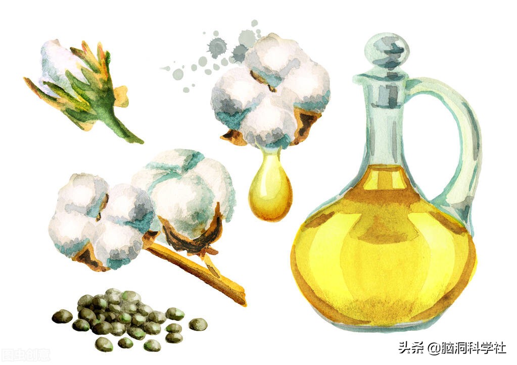 一株棉花能做成啥？不只是纺织品，生活中许多东西都来自于它