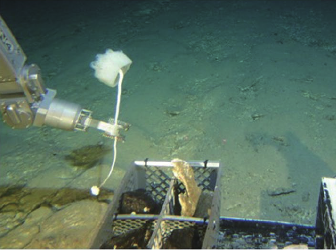 深海生物资源开发装备发展研究