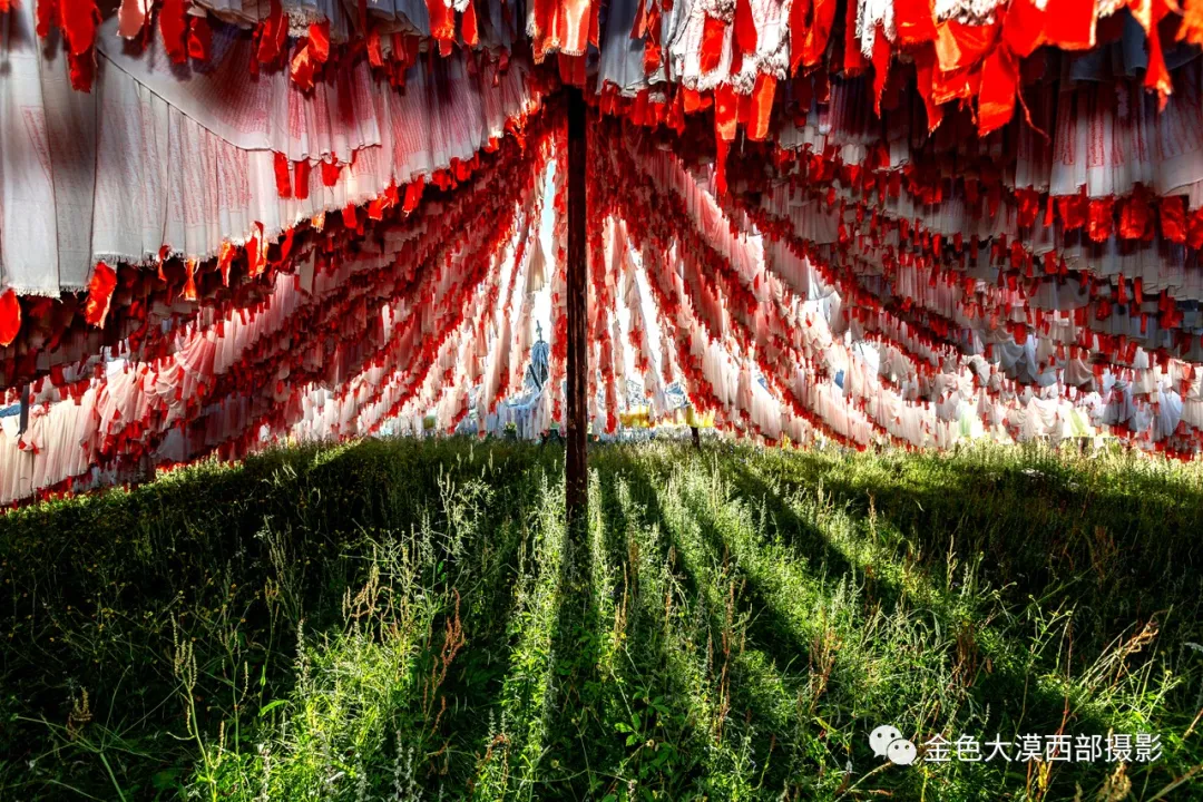 还不知道甘南吗?这份甘南攻略请收藏