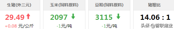 今日猪价！生猪调运大检查，南北差价拉大，谨防“炒猪团”