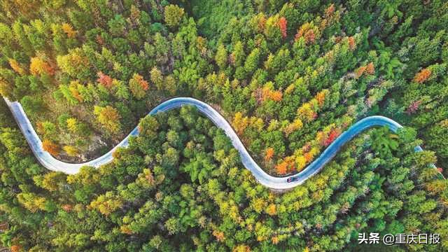 “四好农村路”让游客进村山货进城