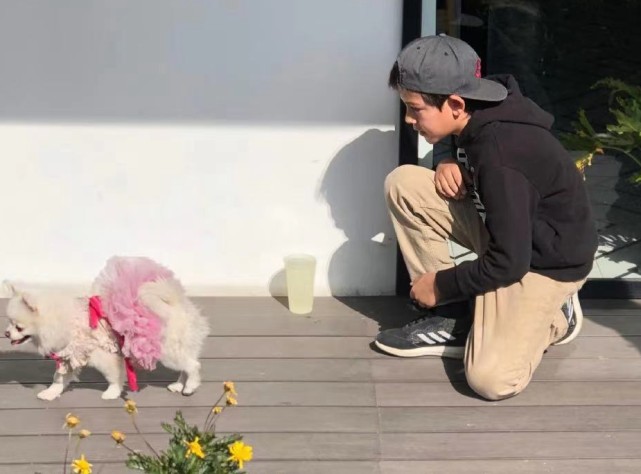 劉燁老婆五一帶兒子外出，十歲諾一長高又變帥，五官越來越像外公