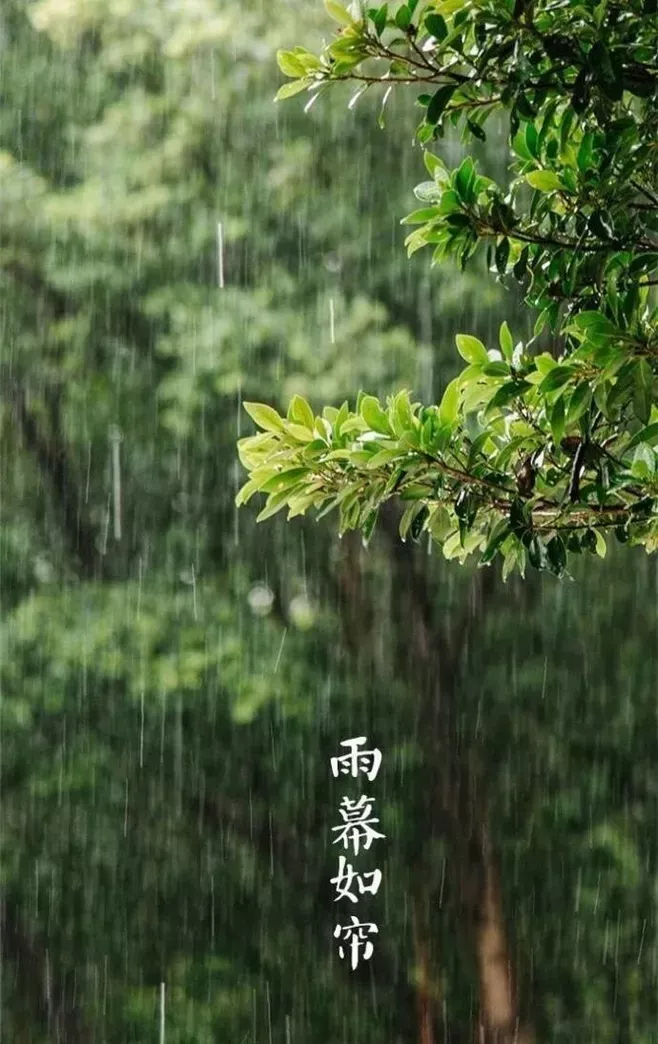 YDD·二十四节气｜今日小满