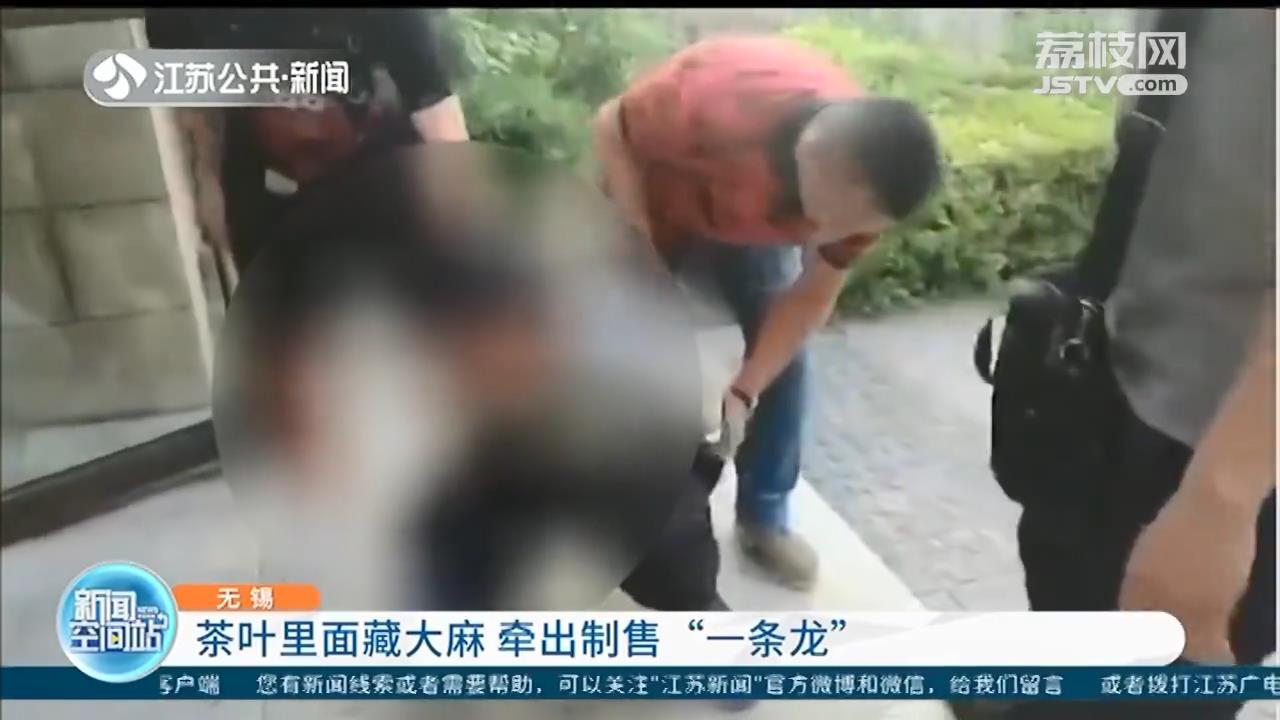 茶叶里暗藏大麻 牵出制售&ldquo;一条龙&rdquo;的犯罪链条