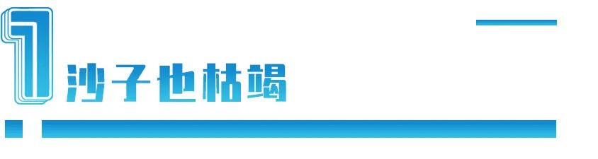 全球沙子不够用了：中国1年要用200亿吨，该怎么办？