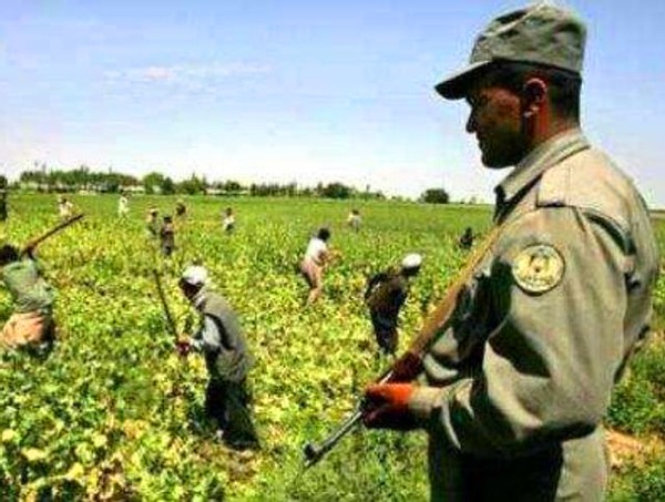 柬埔寨“黄赌毒”：白人寻欢天堂，本地人的噩