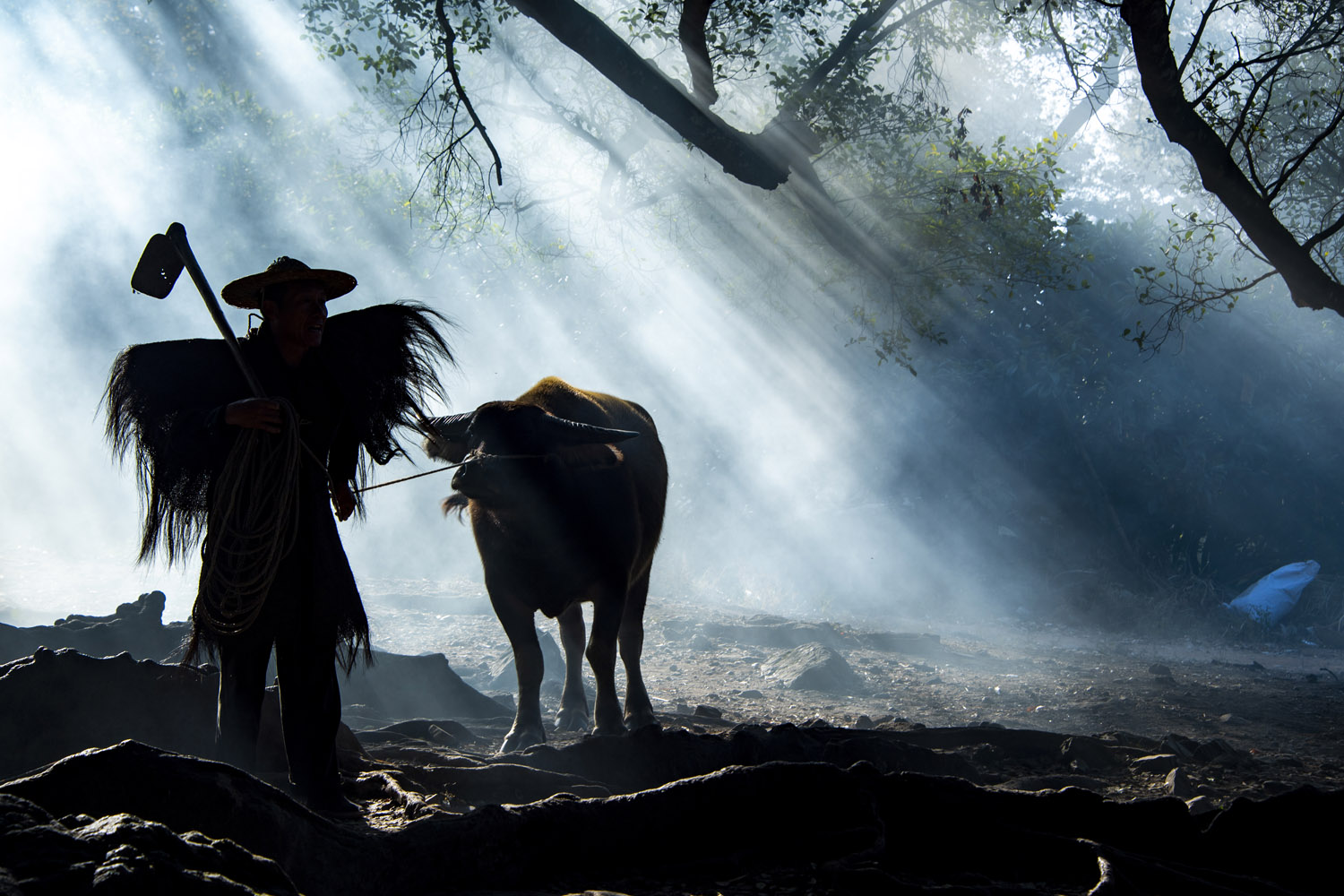 摆拍的网红农家牛照,老人牵牛从早拍到晚,被游客围着一层又一层