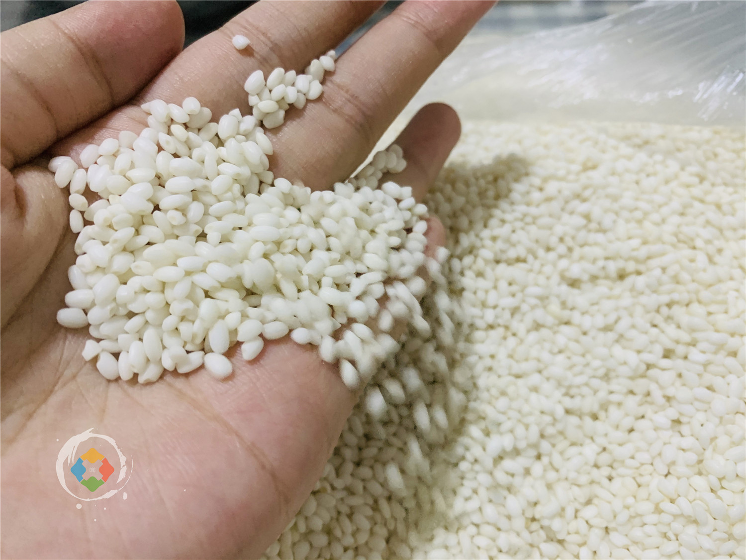 重庆的粽子有多独特？咸甜皆可，白粽子蘸糖吃，腊肉粽子最奢华