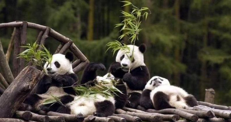 51劳动节现场活动——宣传推广