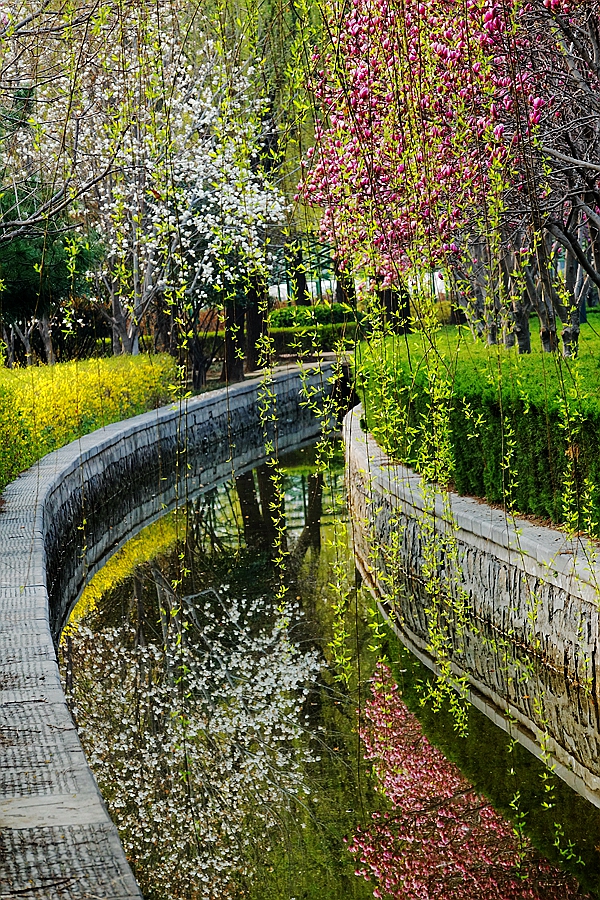 春花烂漫翠柳舞
