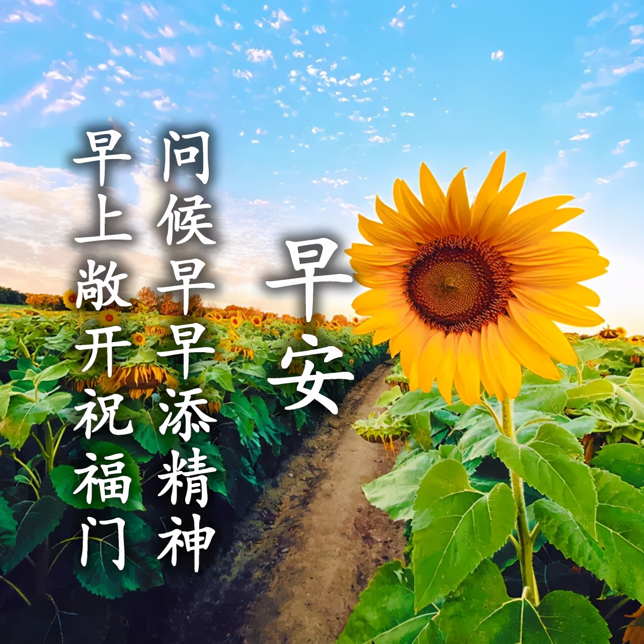2021特别漂亮的早上好图片，每日最新早安图片图片